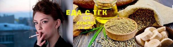 индика Володарск
