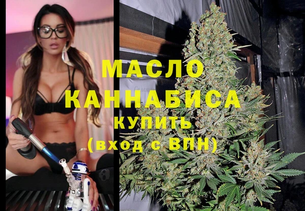 индика Володарск