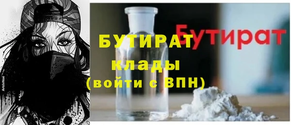 индика Володарск