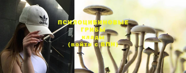 индика Володарск