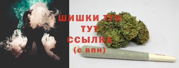 индика Володарск