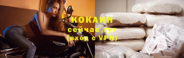 индика Володарск