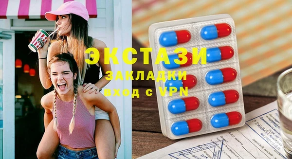 индика Володарск