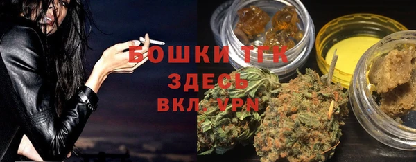 индика Володарск