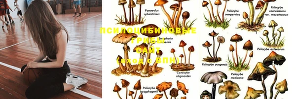 скорость Вязники