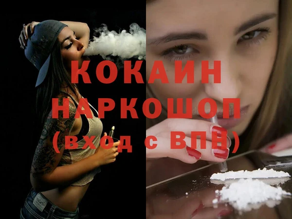 индика Володарск