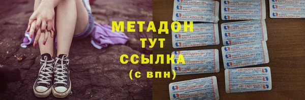 индика Володарск