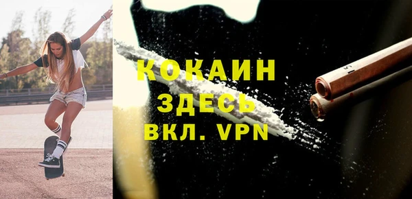 индика Володарск