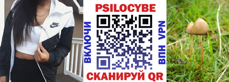 Псилоцибиновые грибы прущие грибы  Мытищи 